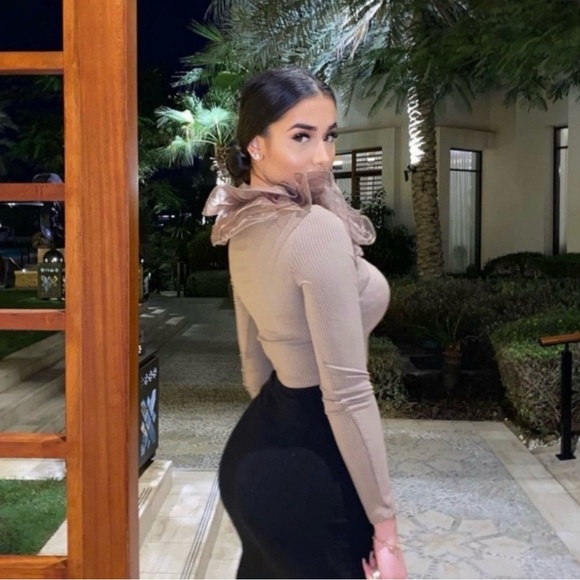 NWT Zara Brown Taupe Organza Long Sleeve Shirt Bloggers’ Favorite - Picture 11 of 11